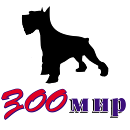 companypic.png companypic.png